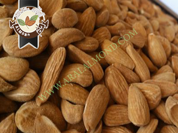 قیمت خرید بادام مامایی درجه یک