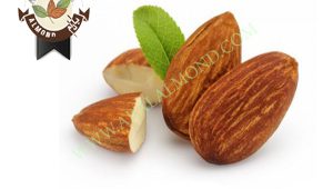 قیمت فروش انواع بادام ایرانی