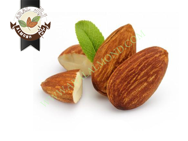 قیمت فروش انواع بادام ایرانی