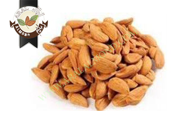 قیمت مغز بادام شاهرودی