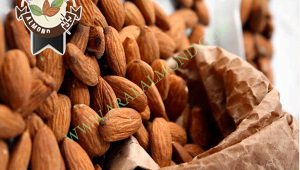 صادراقیمت مغز بادام بر چه اساسی تعیین می شود؟ت بادام شاهرودی سامان