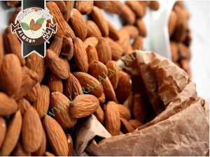 صادراقیمت مغز بادام بر چه اساسی تعیین می شود؟ت بادام شاهرودی سامان