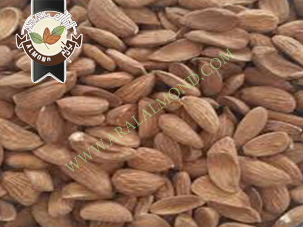 قیمت خرید بادام مامایی درجه یک