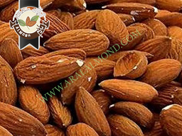 صادرات مغز بادام شاهرودی ایران