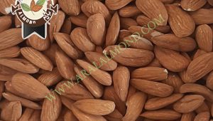 قیمت مغز بادام شاهرودی