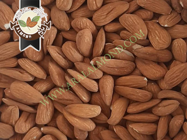 قیمت مغز بادام شاهرودی