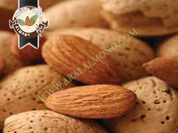 قیمت خرید انواع بادام در ایران