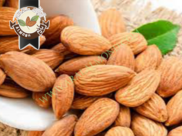 قیمت خرید انواع بادام در ایران