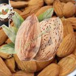 خرید و صادرات بادام مامایی به صورت اینترنتی