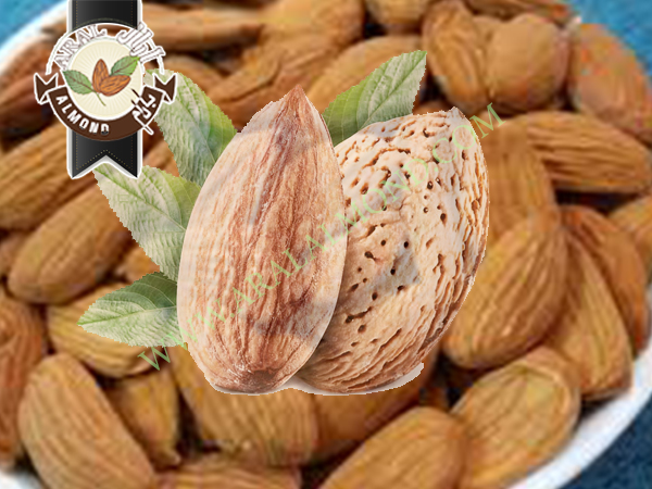 خرید و صادرات بادام مامایی به صورت اینترنتی