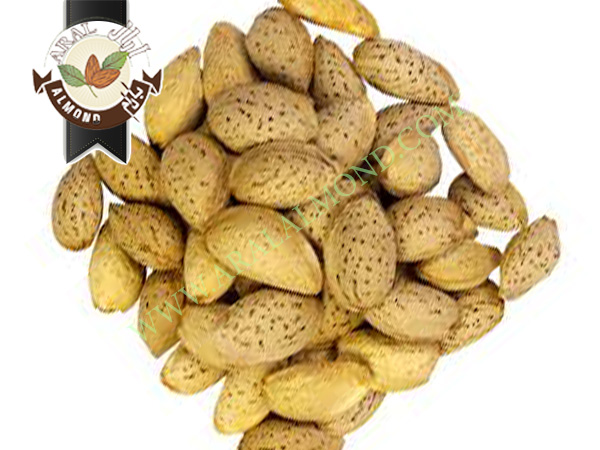 قیمت بادام پوست کاغذی درجه یک