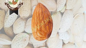کارخانه تولید بادام تلخ سامان