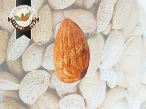 کارخانه تولید بادام تلخ سامان