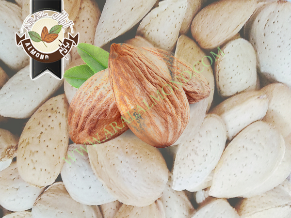 خرید مغز بادام سنگی با کیفیت بالا و قیمت مناسب