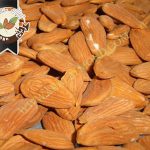 خرید انواع مغز بادام درجه یک