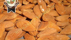 خرید انواع مغز بادام درجه یک