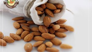 خرید عمده مغز بادام مامایی مرغوب