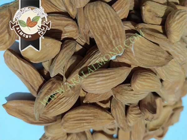 خرید و فروش بادام مامایی درجه یک سامان