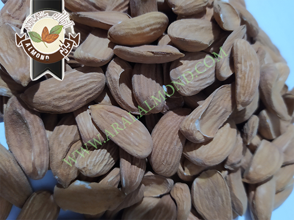 فروش مغز بادام شاهرودی با قیمت مناسب