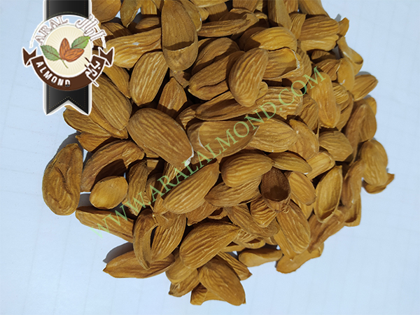 خرید و فروش بادام مامایی درجه یک سامان