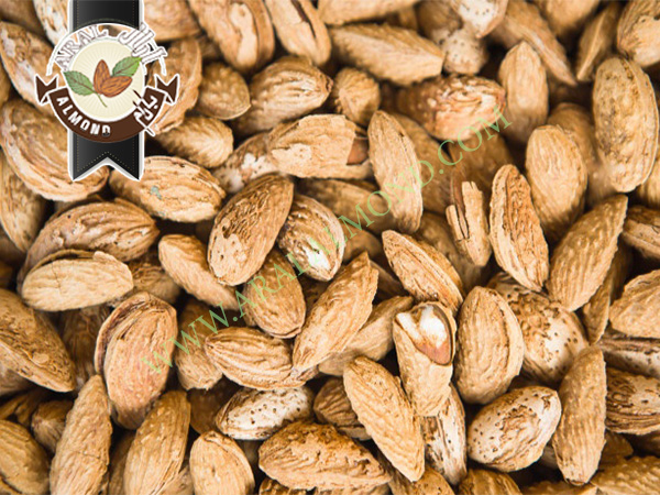 قیمت بادام پوست کاغذی درجه یک