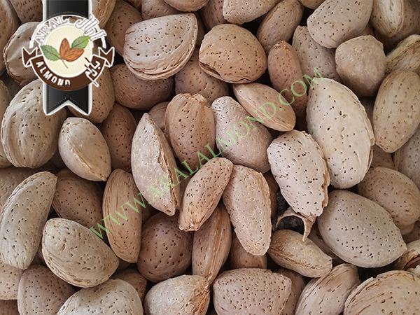 فروش بادام سنگی با کیفیت در ایران