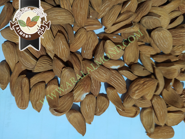 خرید انواع مغز بادام درجه یک