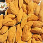 قیمت بادام مامایی صادراتی در ایران
