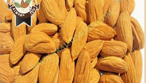 قیمت بادام مامایی صادراتی در ایران