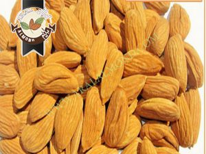 قیمت بادام مامایی صادراتی در ایران