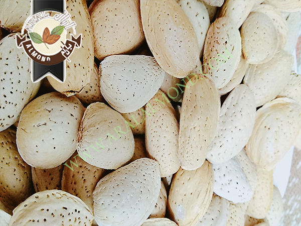 سفارش بادام تلخ با کیفیت ایران