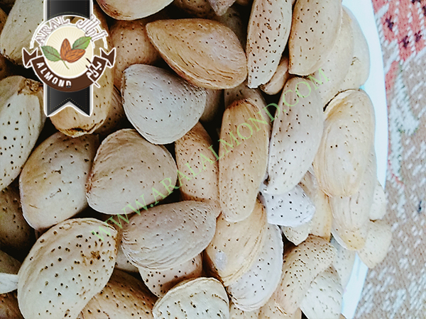 فروش انواع بادام درختی با کیفیت