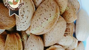 فروش انواع بادام درختی ایران