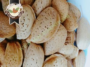 فروش انواع بادام درختی ایران