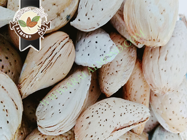 سفارش بادام تلخ با کیفیت ایران