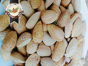 قیمت بادام سنگی با کیفیت