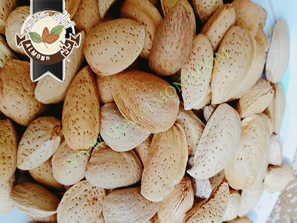 سفارش بادام تلخ با کیفیت ایران