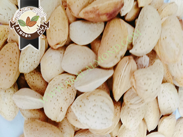 سفارش اینترنتی بادام ربیع با کیفیت
