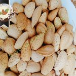 سفارش اینترنتی بادام ربیع با کیفیت