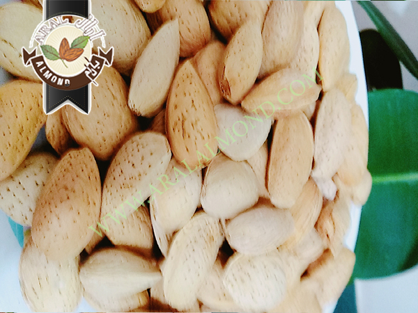 فروش بادام سنگی با کیفیت در ایران