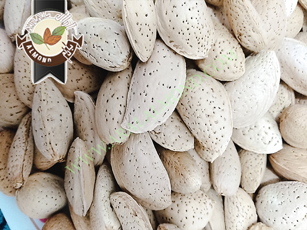 خرید بادام سنگی درجه یک ایرانی