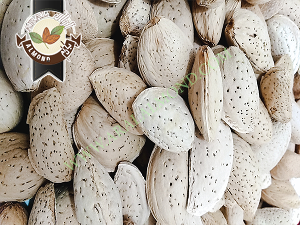 خرید بادام سنگی درجه یک ایرانی