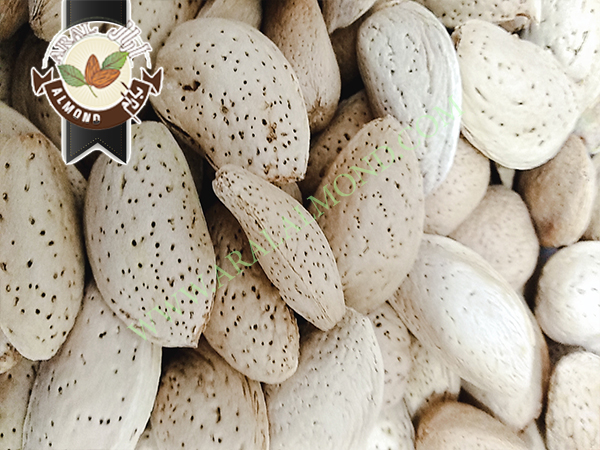 سفارش بادام تلخ با کیفیت ایران