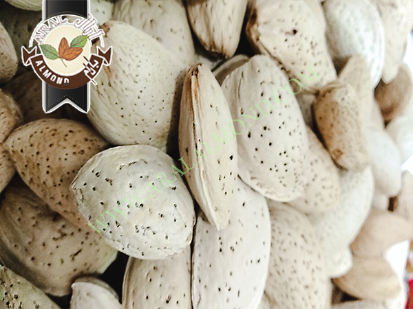 سفارش بادام تلخ با کیفیت ایران