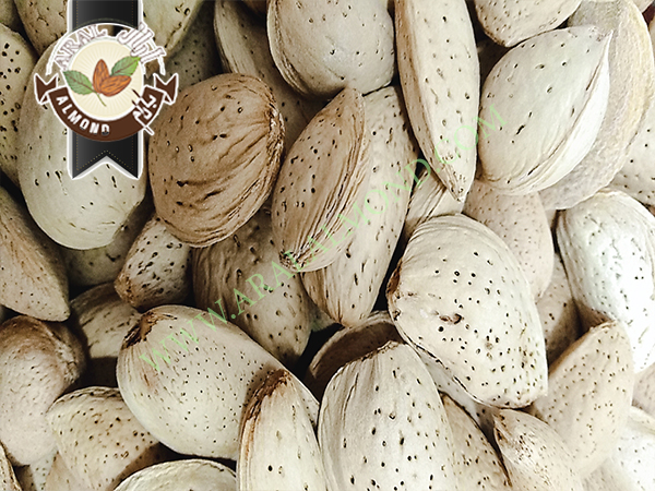 فروش بادام سنگی با کیفیت در ایران