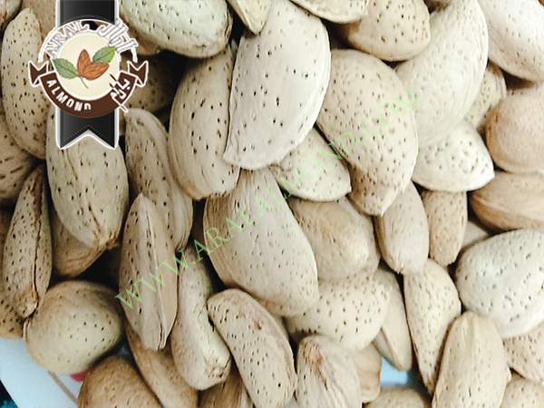 فروش بادام سنگی با کیفیت در ایران