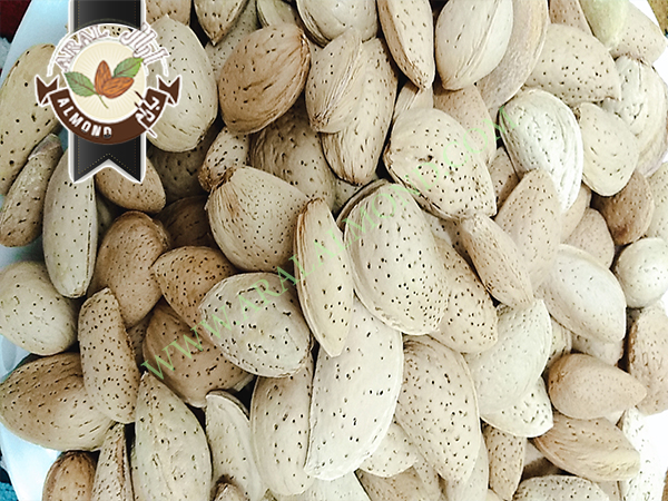 سفارش بادام تلخ با کیفیت ایران