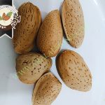 فروش و صادرات بادام مامایی مرغوب اصفهان