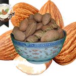 فروش انواع بادام درختی سامان + قیمت