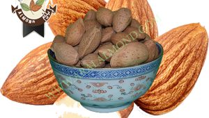 فروش انواع بادام درختی سامان + قیمت